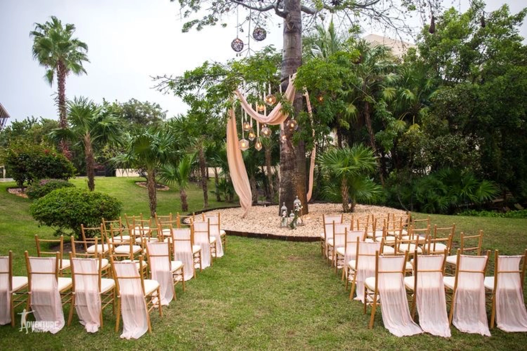 Mayan Tree