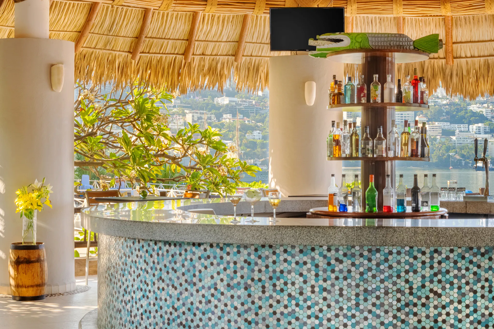 DRACA-BAR-Barracuda-Bar-TBF