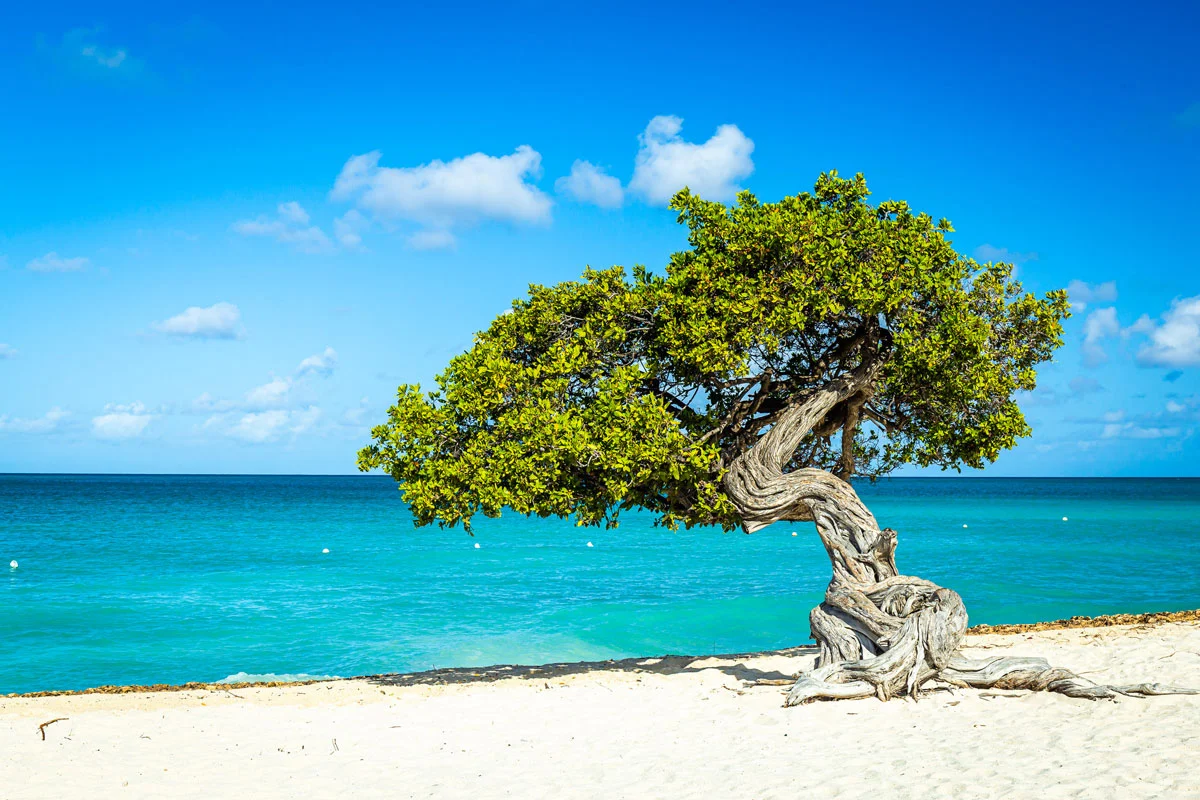 Aruba