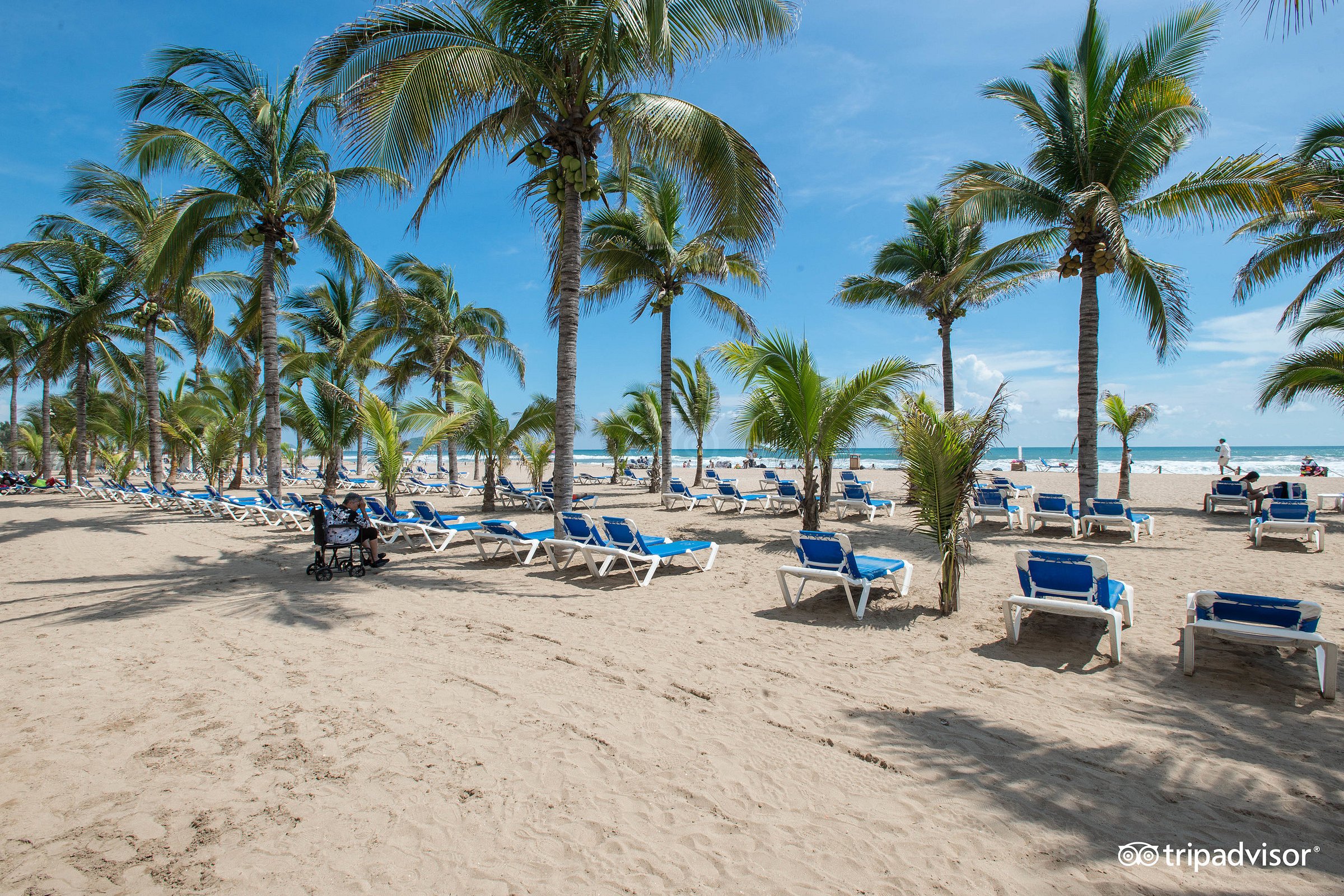 beach--v13910321