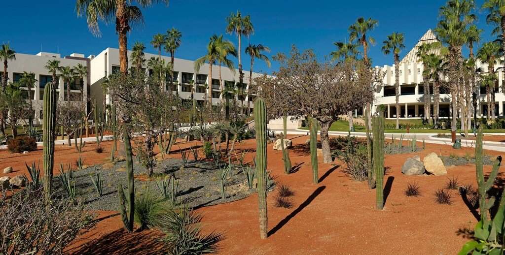 Paradisus Los Cabos  resort