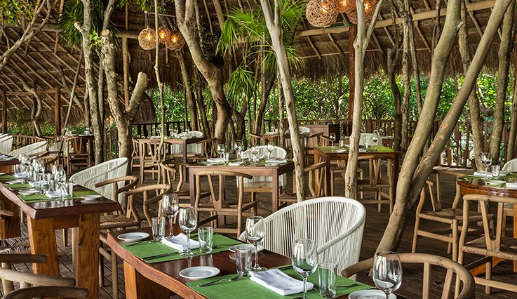 07-cunfb4-natura-restaurant