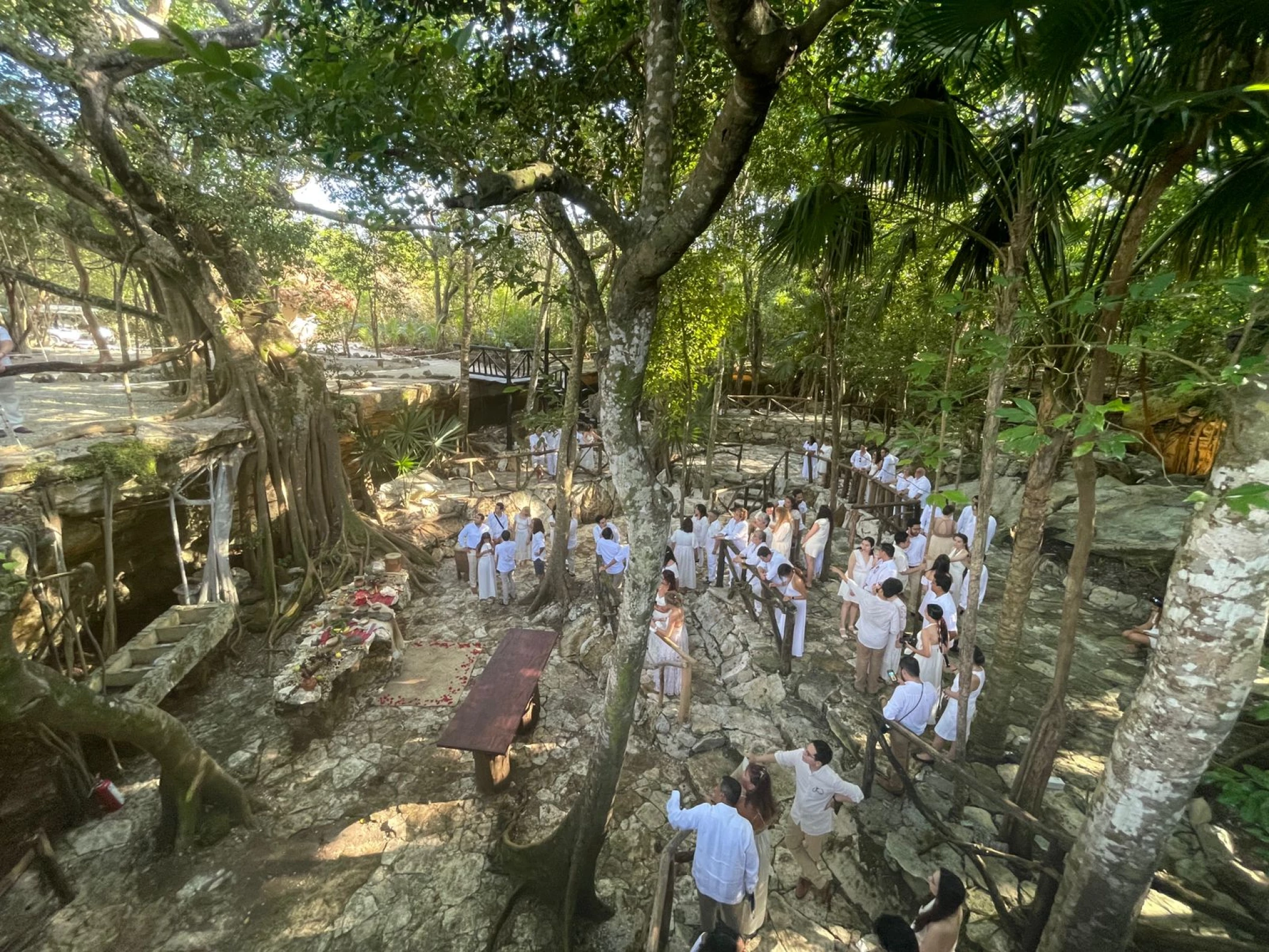 Jungle Rock Terrace