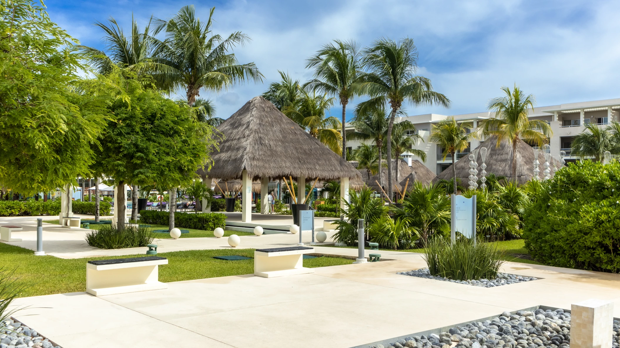 Palapa