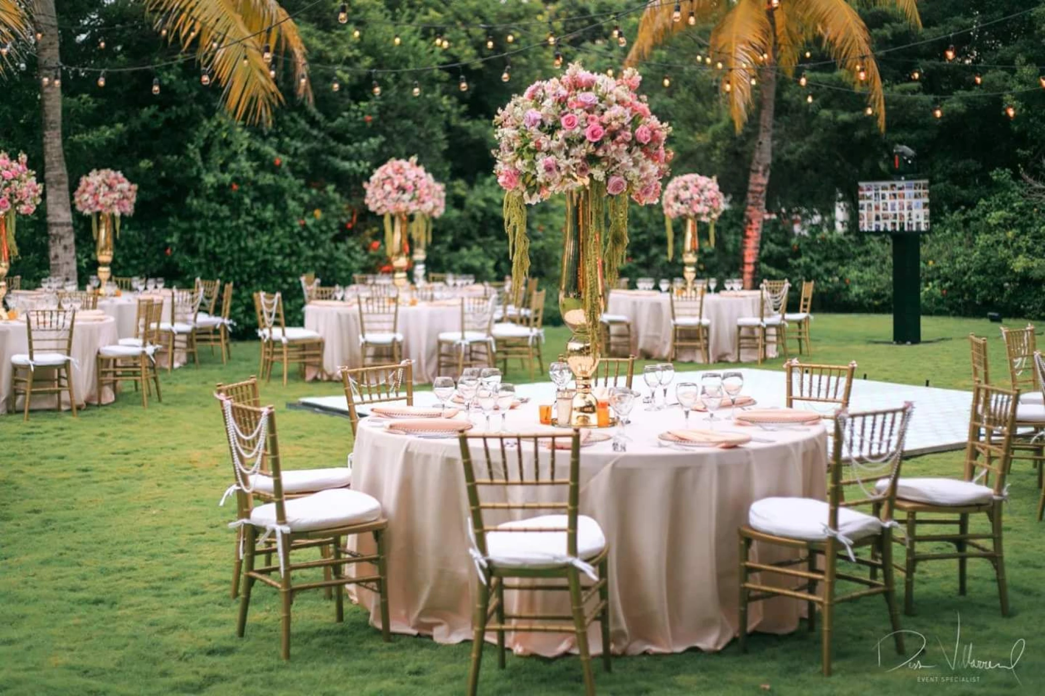 Dreams Garden