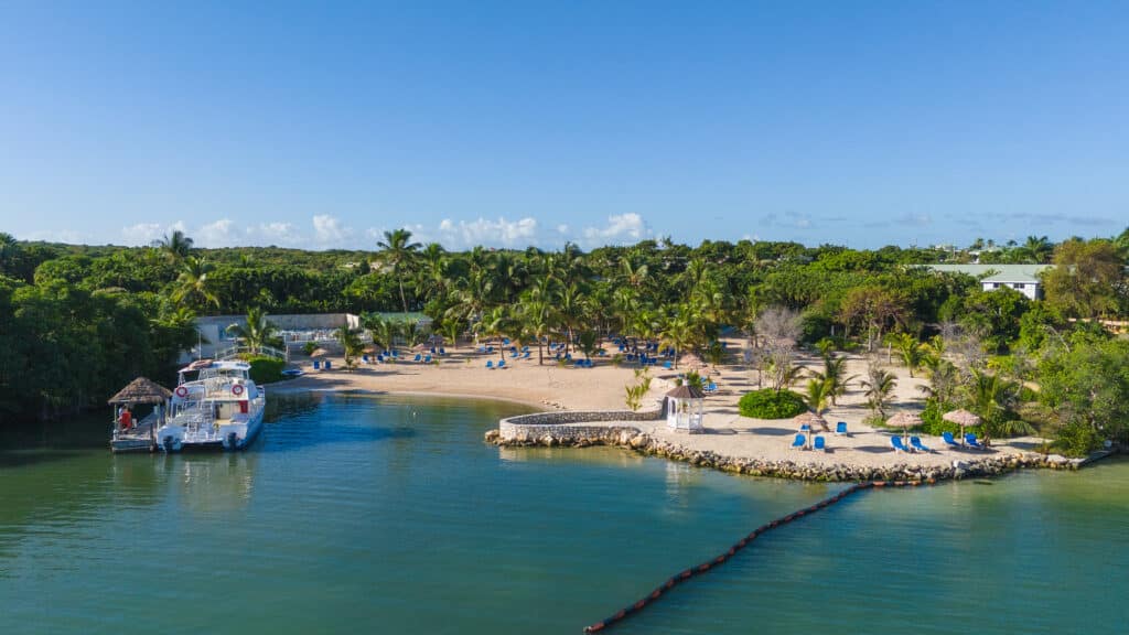 DJI_20240105083021_0063_D-1024x576