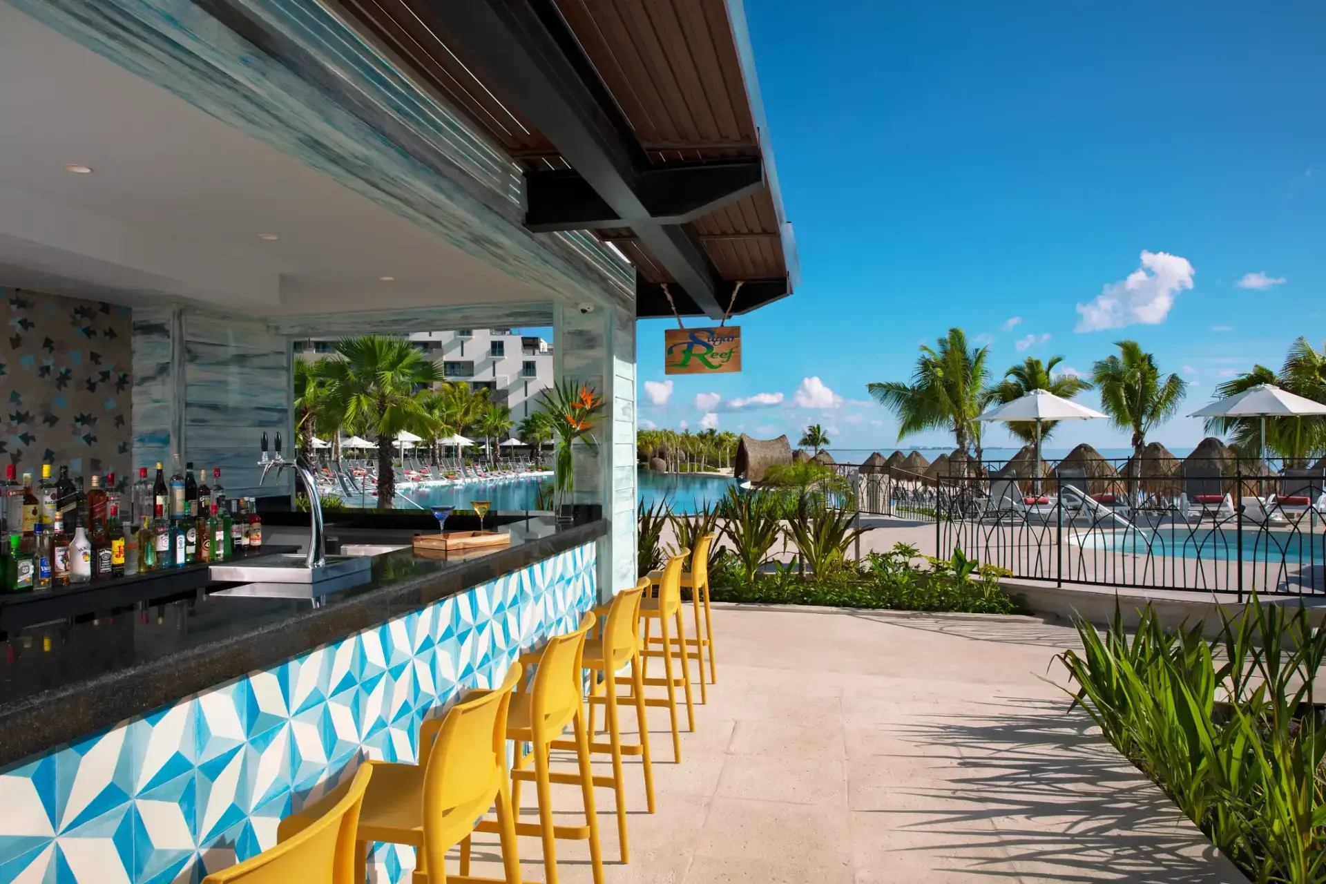 DRENA-BAR-SugarReef-1B-RGB-CB-1.webp