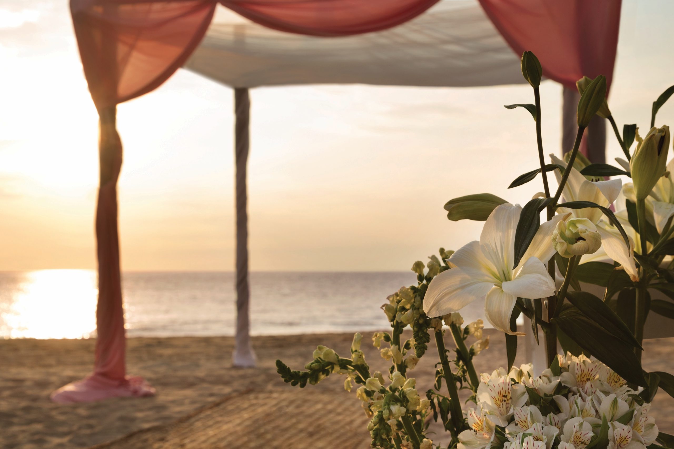 Hyatt Ziva Puerto Vallarta - Lifestyle Shoot (August 2016)