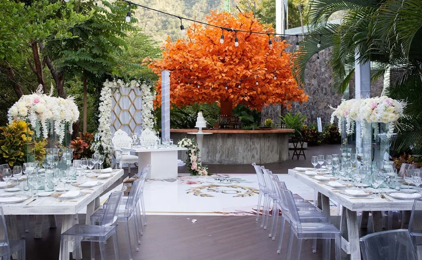 Orange Tree