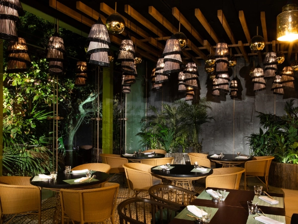Palmaia-The-House-of-AiA-202308-CUNPMA-15_Restaurant