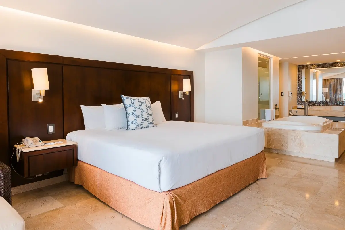 Luxury Suite 1 King Bed