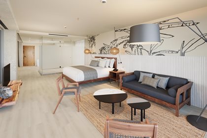 Vivid Suite