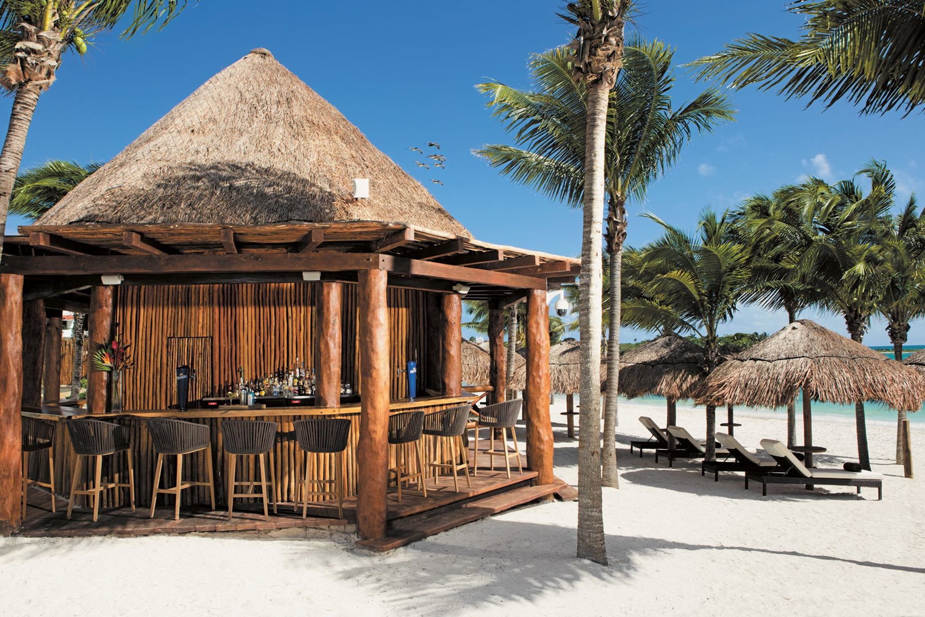 riv-secrets-akumal-bar-barracuda-01