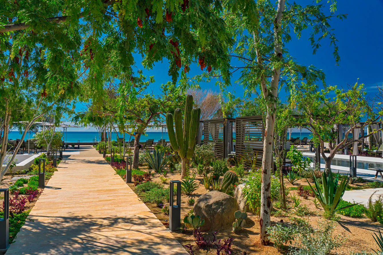 sjdlc-botanical-garden-1189-hor-clsc