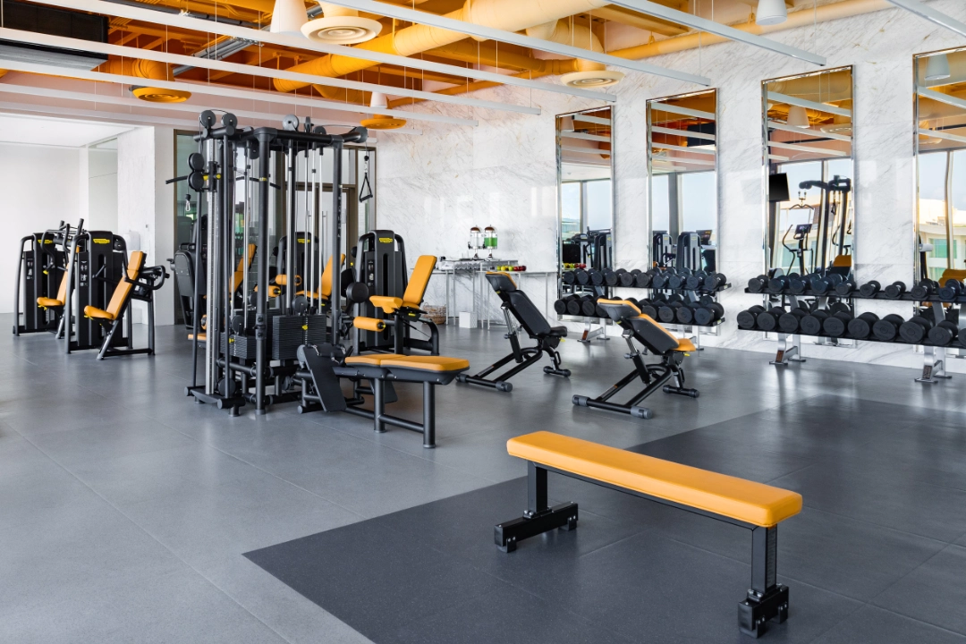 wellness-zone-mscn-gym-specialized-equipment-w2400h1600