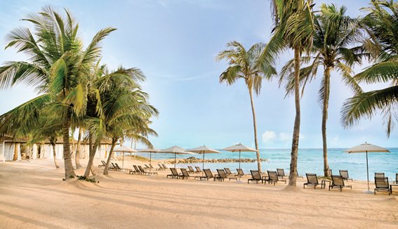 zilara_rose_hall_-beach