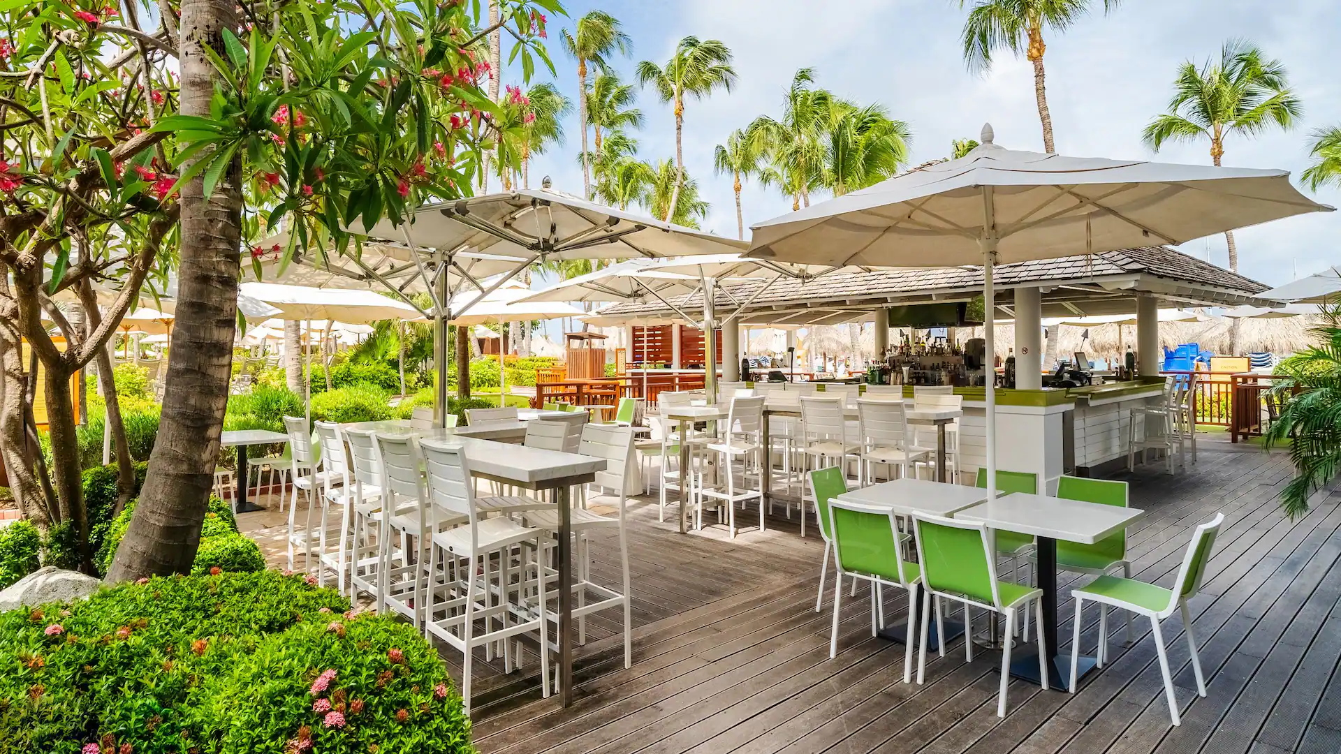 Hyatt-Regency-Aruba-Resort-Spa-and-Casino-P603-Palms-Bar.16x9