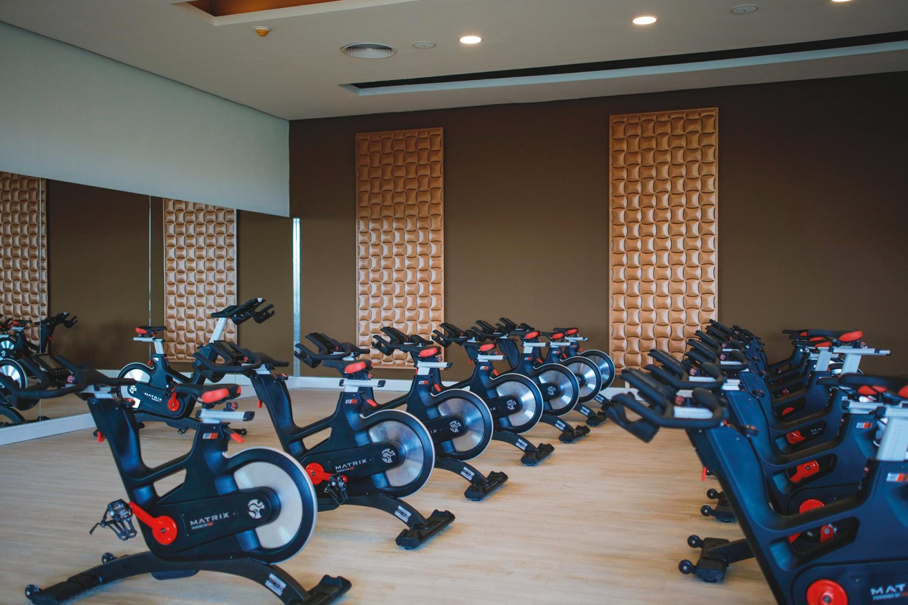 puj-majestic-mirage-gym-01