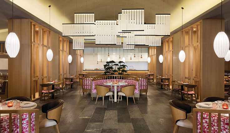 sakura_restaurant_01
