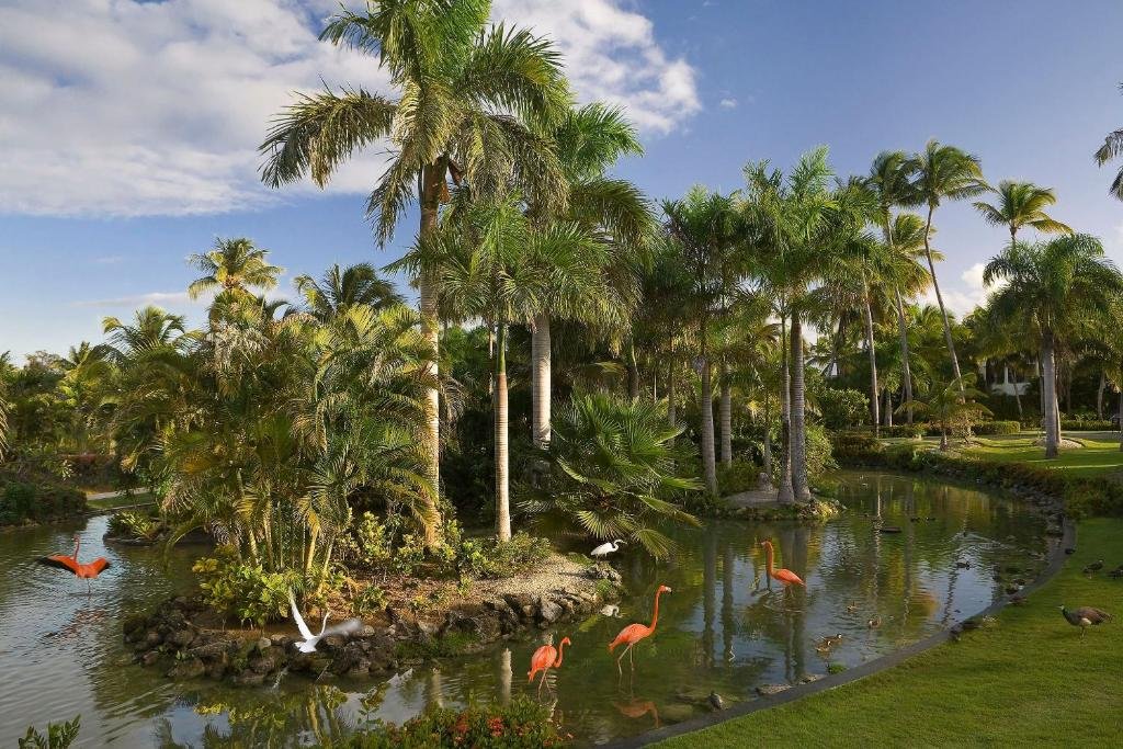 Melia Caribe Beach Resort resort