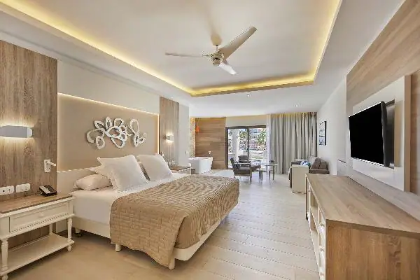 Junior Suite Deluxe Swim Up Corner