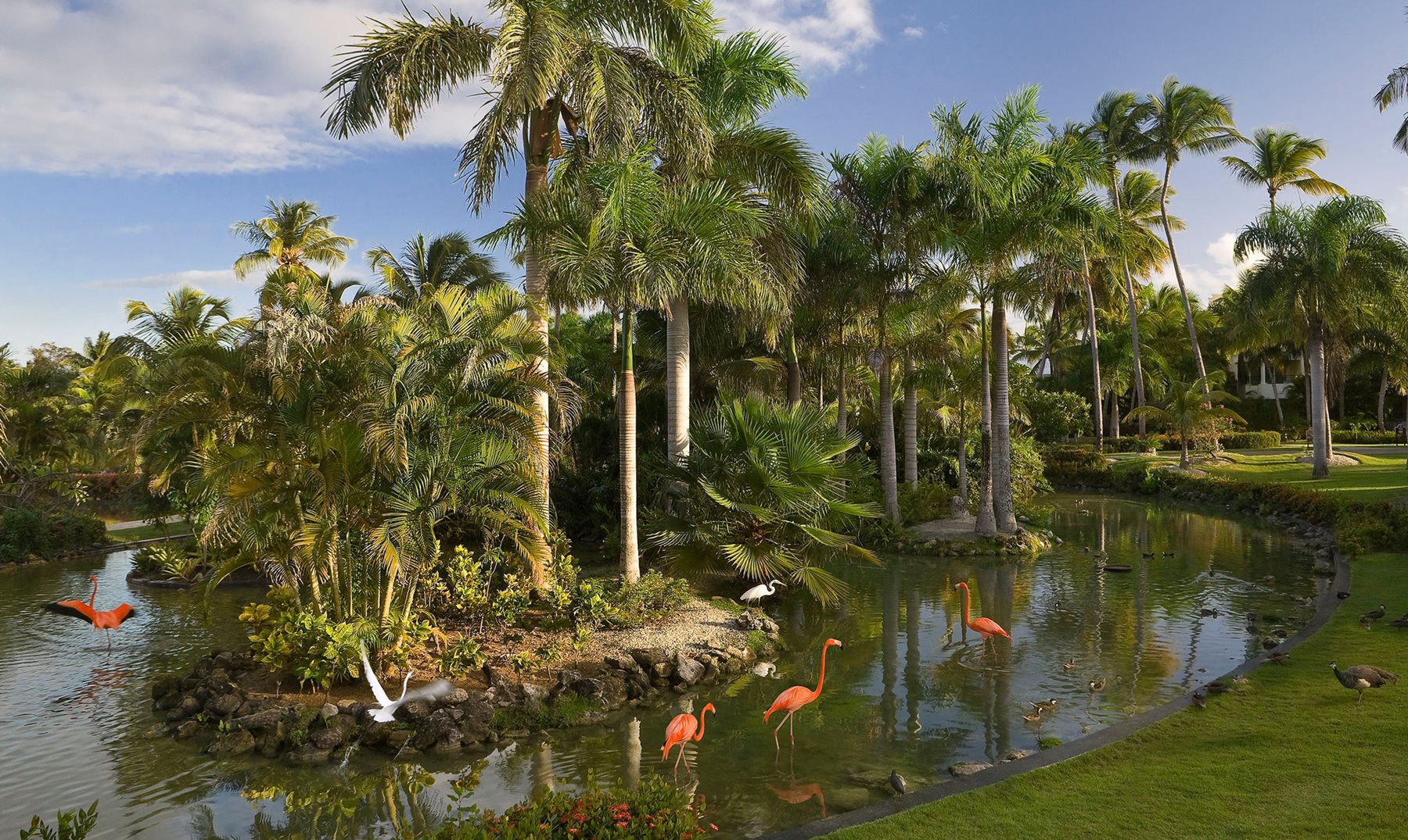 puj-melia-caribe-beach-grounds-01.jpg