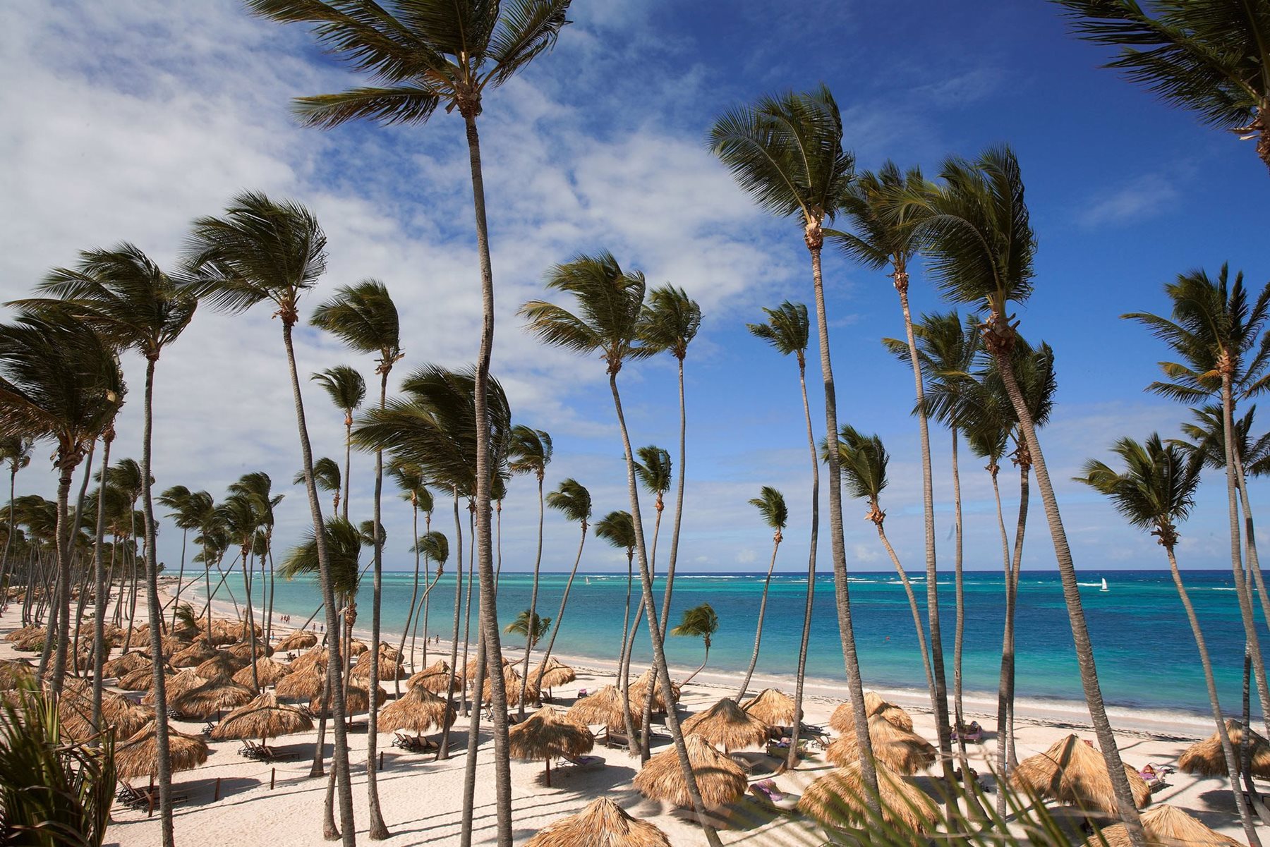 puj-paradisus-palma-real-beach-01