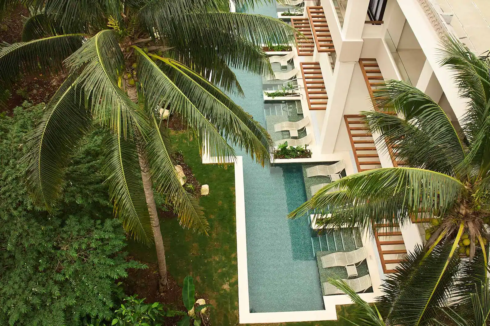 Junior Suite Deluxe Swim Up