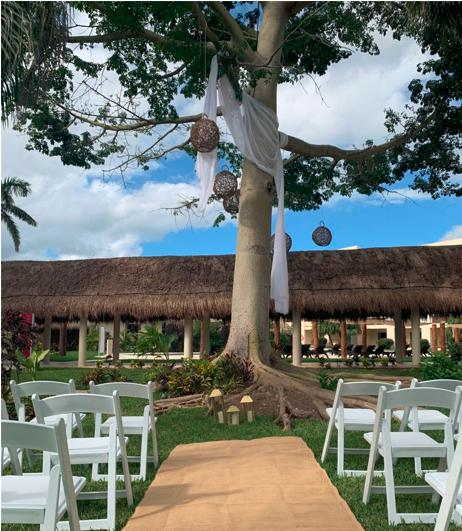 Ceiba Tree