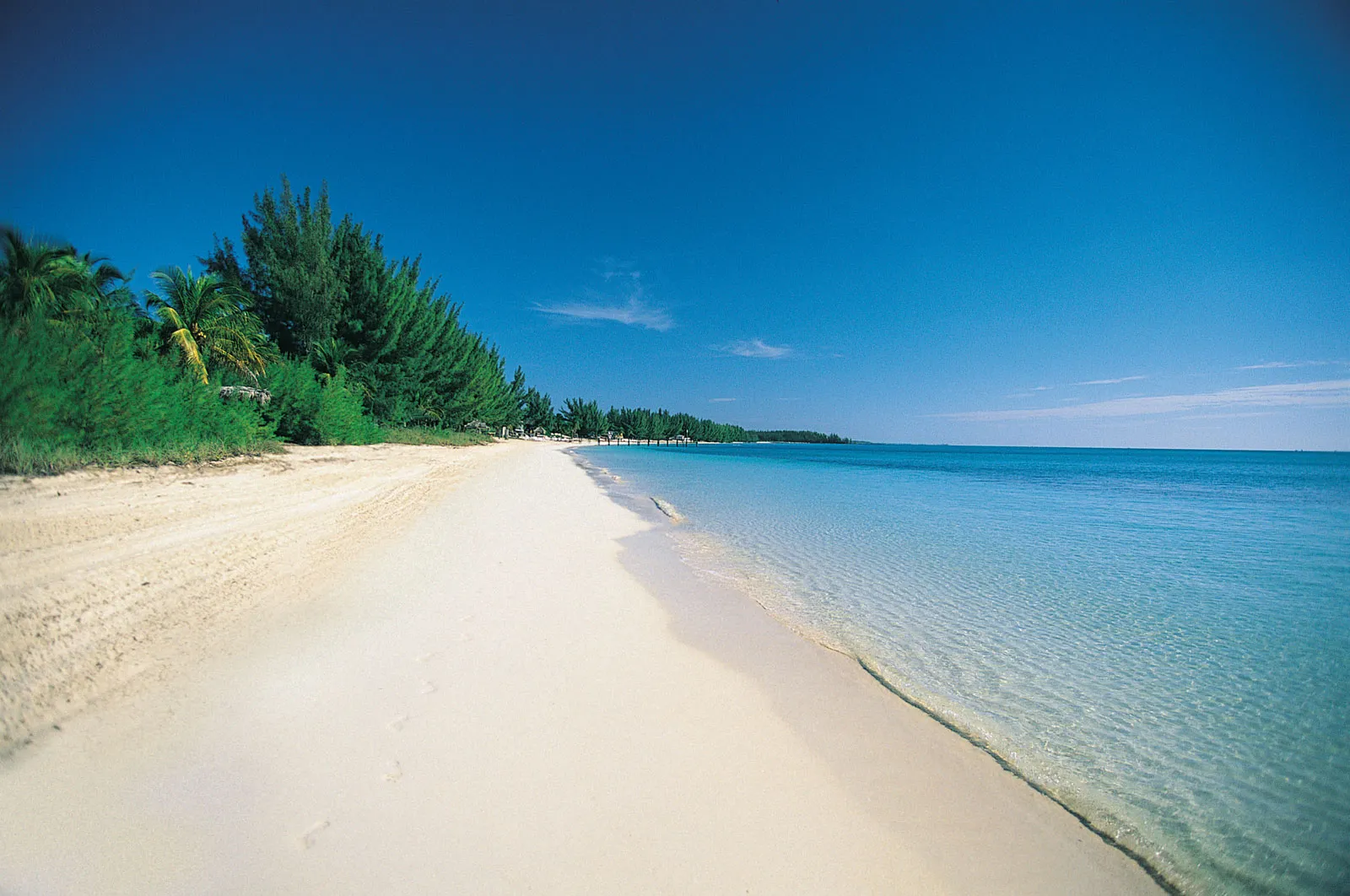 Grand Bahama Island