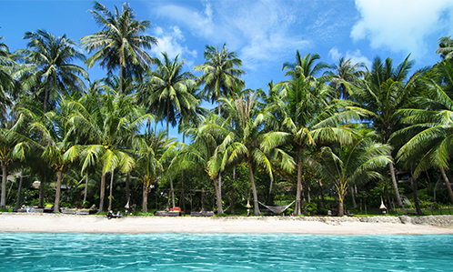 Jamaica