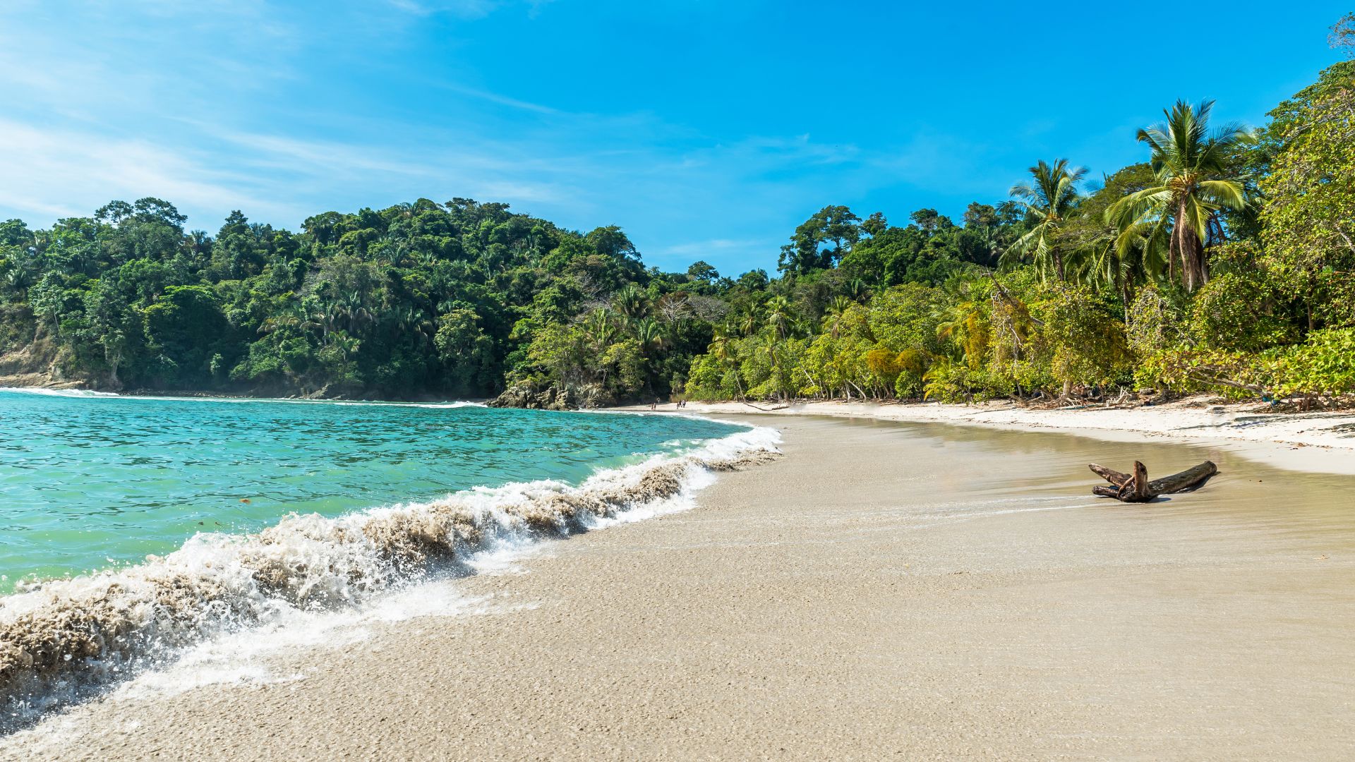 Tamarindo / Flamingo