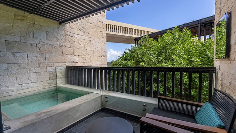 Premium Plunge Garden View King