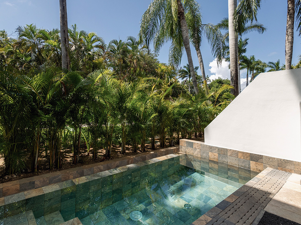 Platinum Plunge Pool