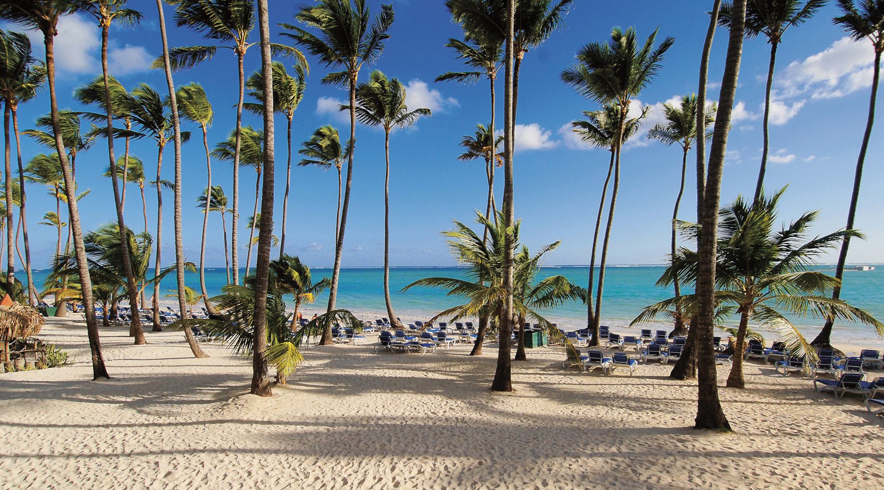 puj-barcelo-bavaro-beach-beach-02
