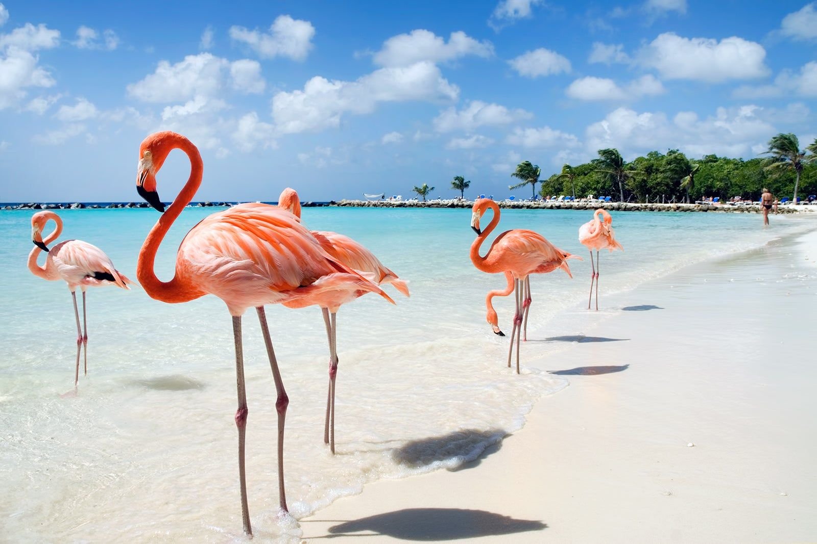 Renaissance Island