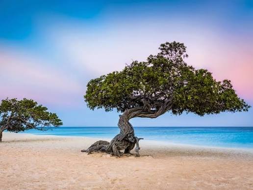 Eagle Beach