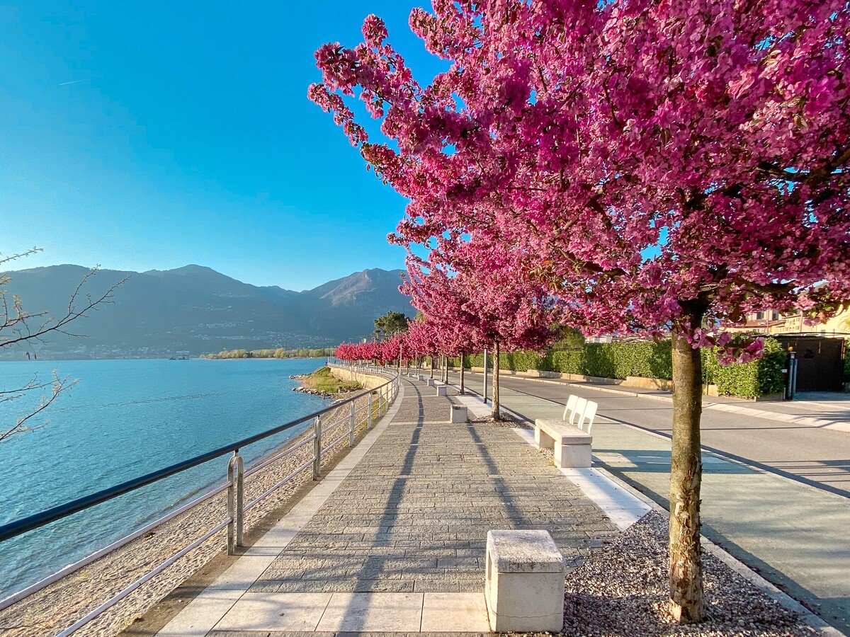 Lake Iseo