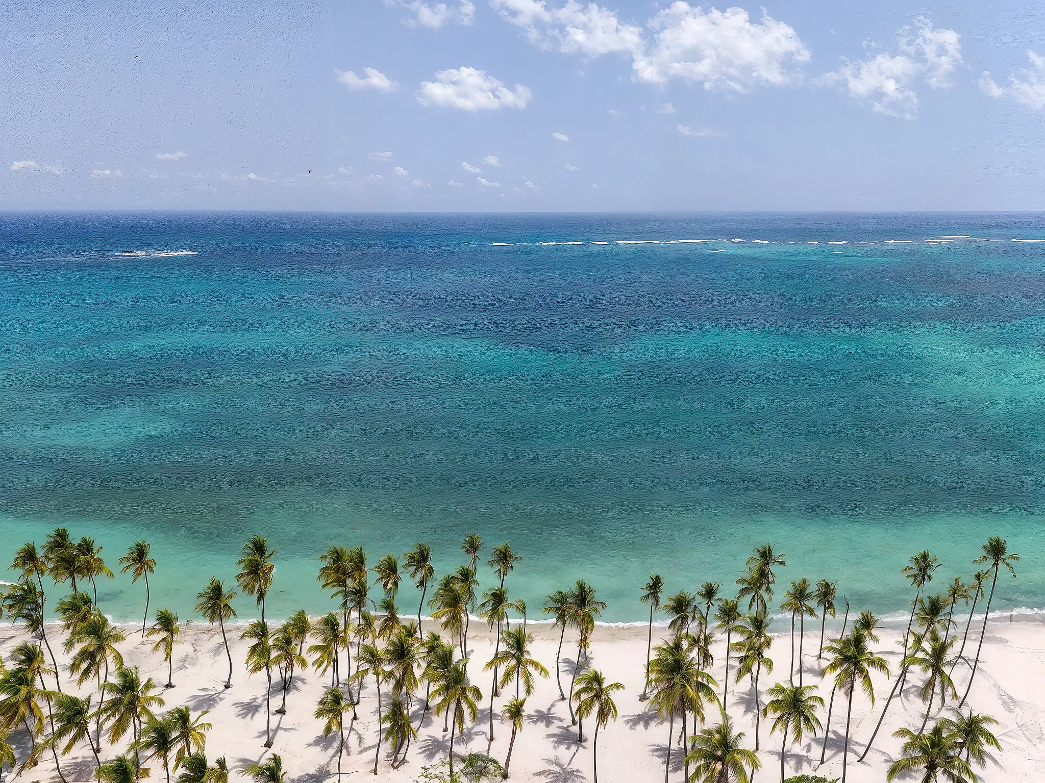 Hyatt Vivid Punta Cana resort