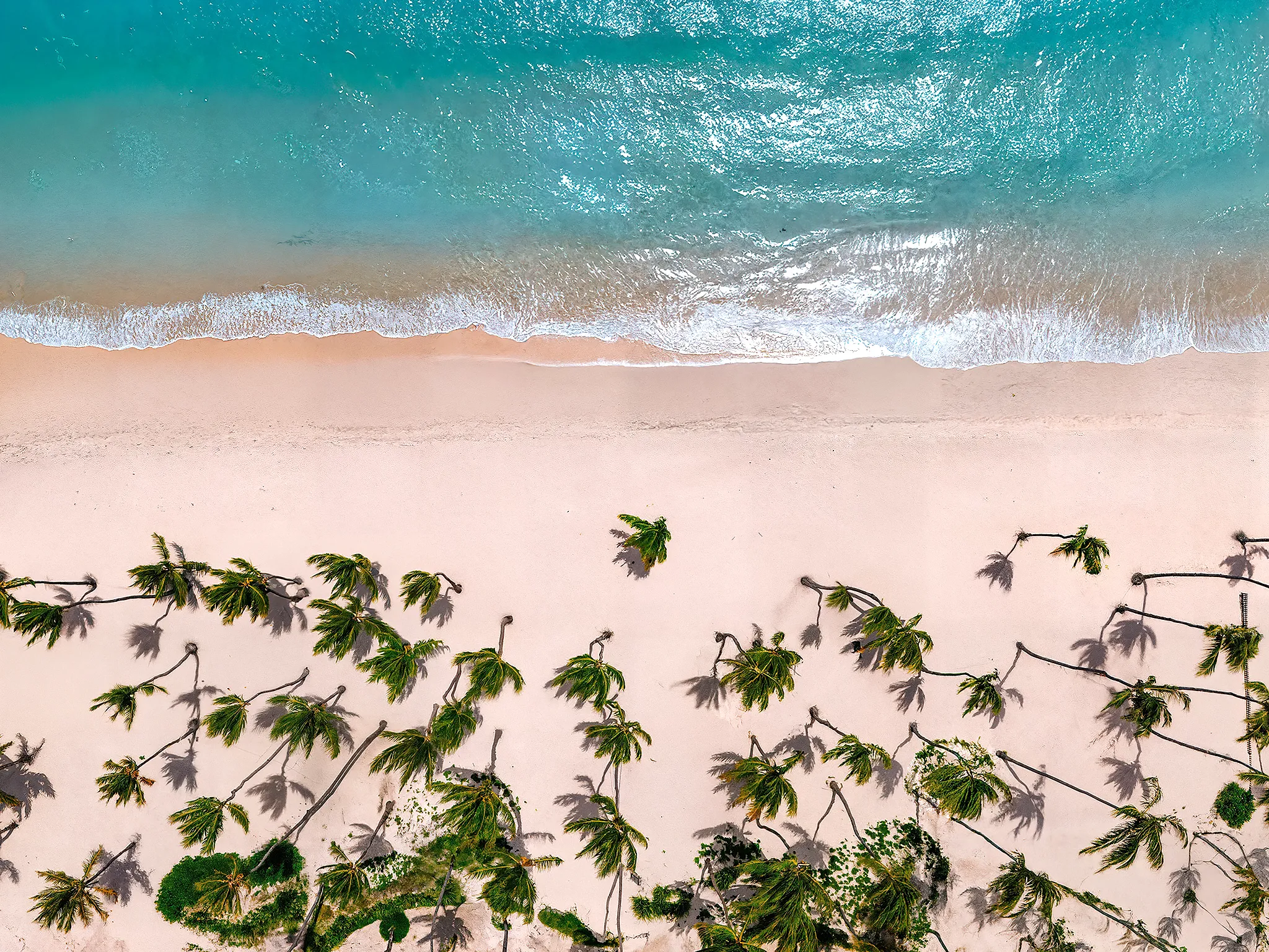 Hyatt Vivid Punta Cana resort