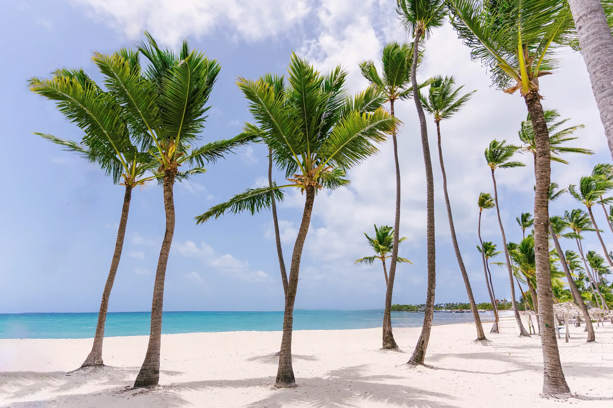Hyatt Vivid Punta Cana resort