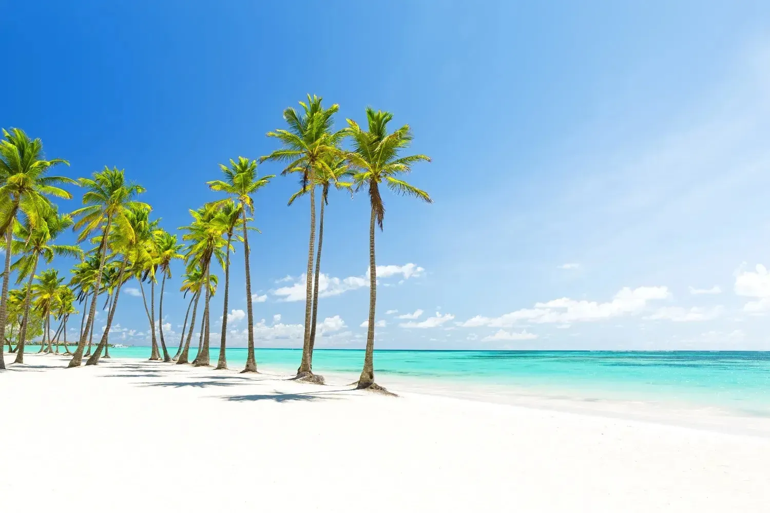 Punta Cana
